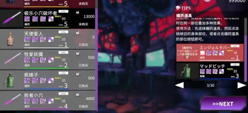 桃映羽3D模拟 地图探索 资料图 5