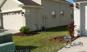 RUBBER VS CONCRETE CURBING